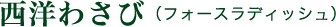 西洋わさび(フォースラディッシュ) 西洋わさび(フォースラディッシュ)
